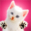 chat